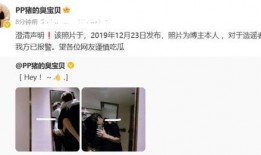 狗仔虚假爆料视频大全,视频大全揭露真相瞬间