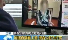 河东主播被杀爆料新闻,真相背后，网络暴力与正义的较量